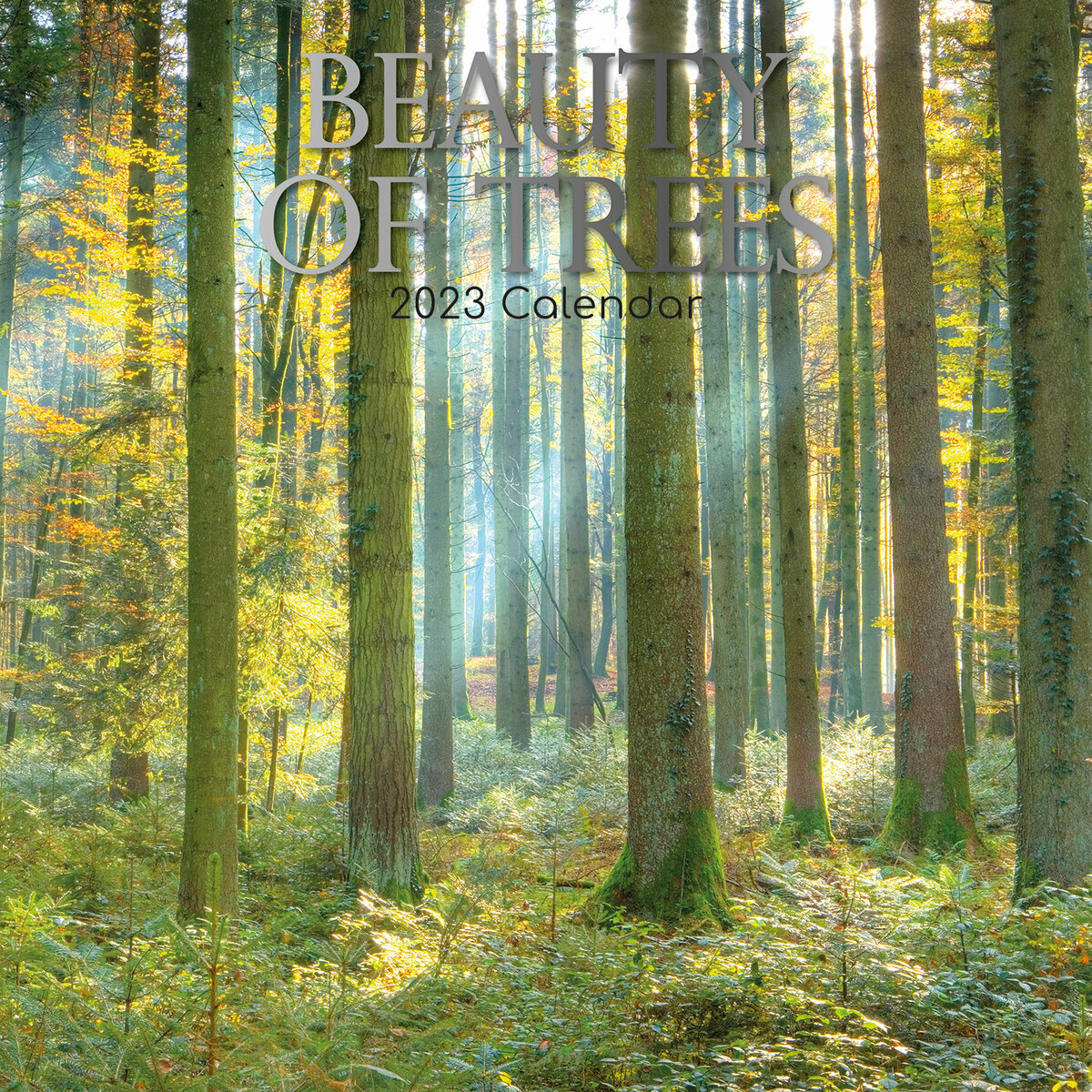 Calendrier Beaute 2023 Calendrier Beauté Des Arbres 2023