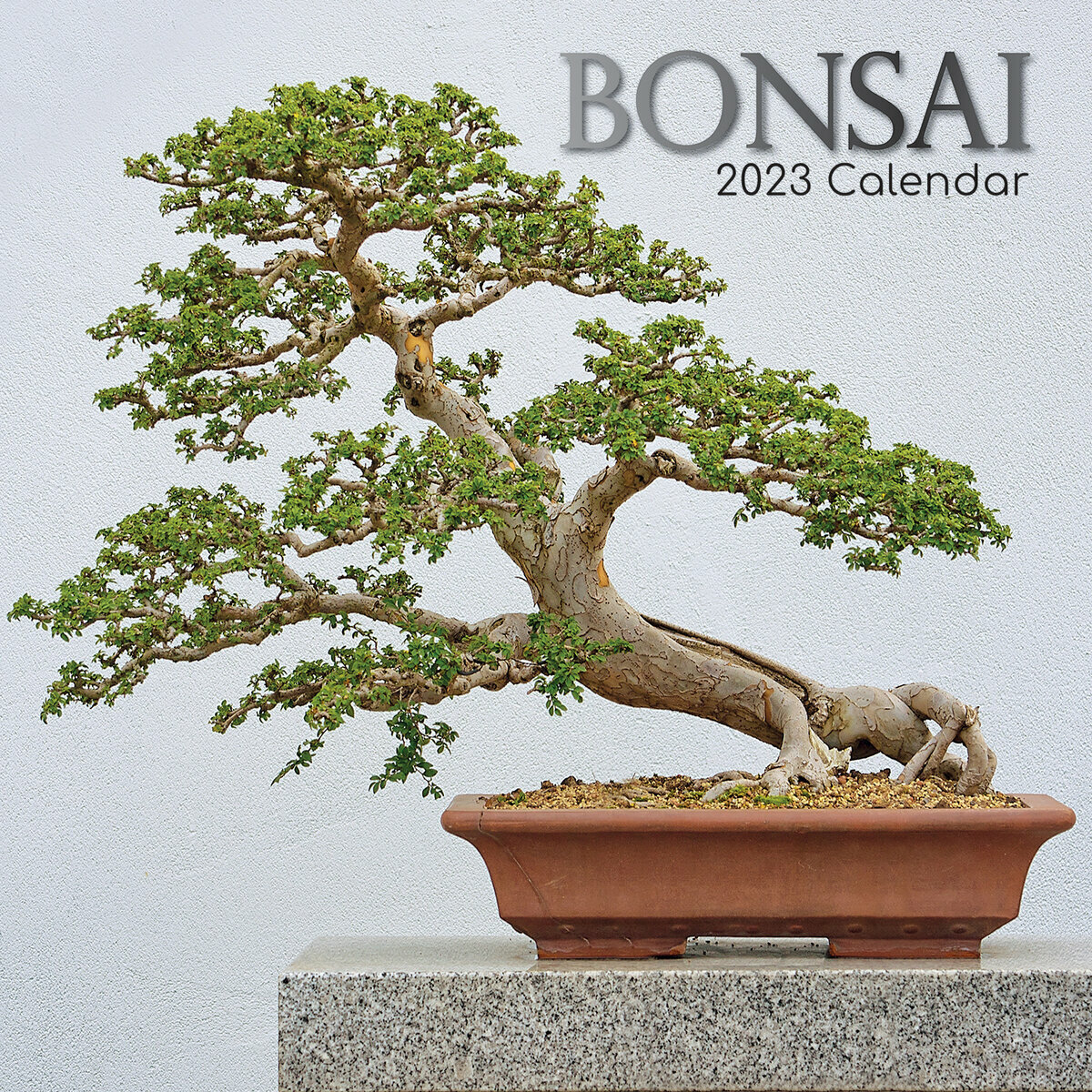 calendrier Bonsaï 2023