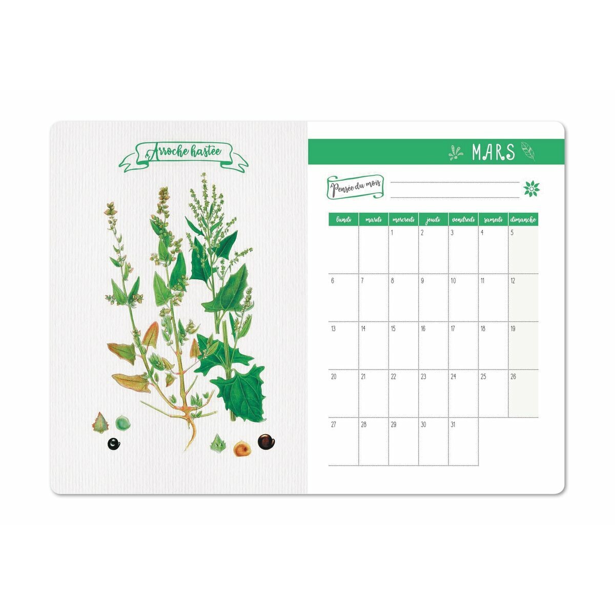 agenda-nature-2023
