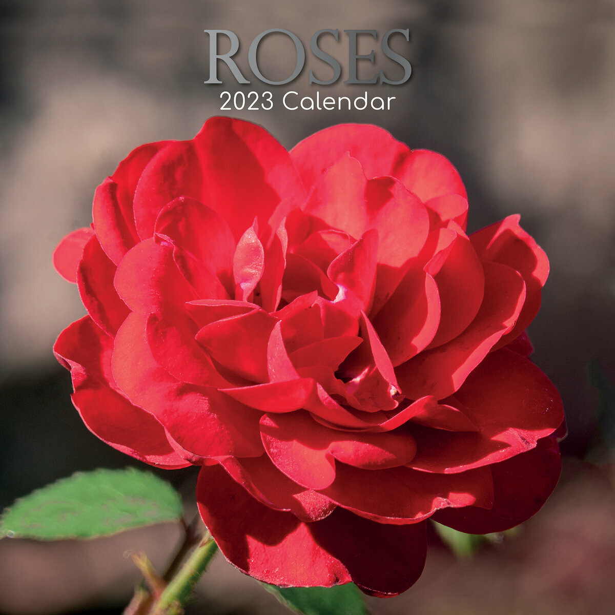 calendrier Rose 2023