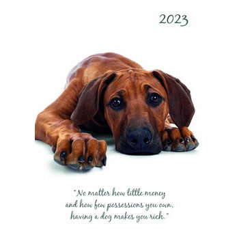 Agenda chien mignon 2023