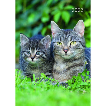 Agenda chat et chaton 2023
