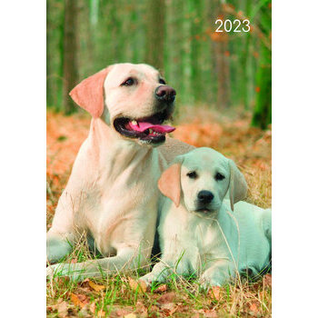 Agenda chien et chiot Labrador 2023