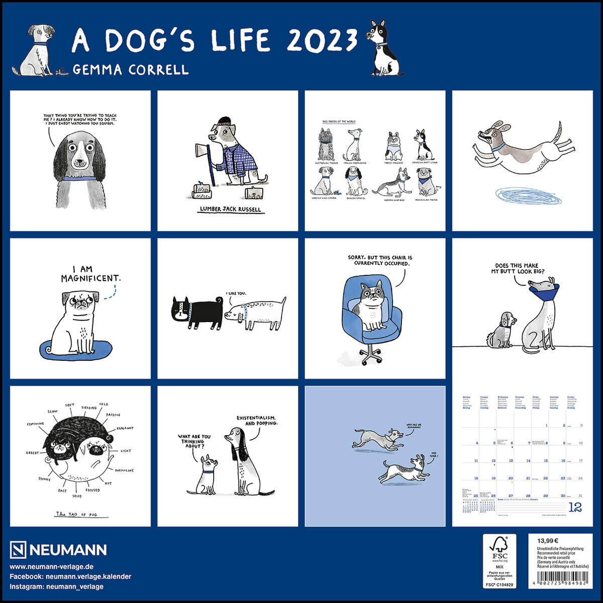 calendrier BD humour chat - a dog's life 2023