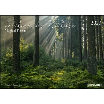 Maxi Calendrier 2023 Forêt magique