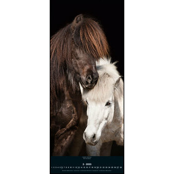 Grand Calendrier slim Chevaux 2023 Grand Calendrier slim Chevaux 2023