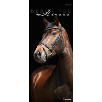 Grand Calendrier slim Chevaux 2023 Grand Calendrier slim Chevaux 2023