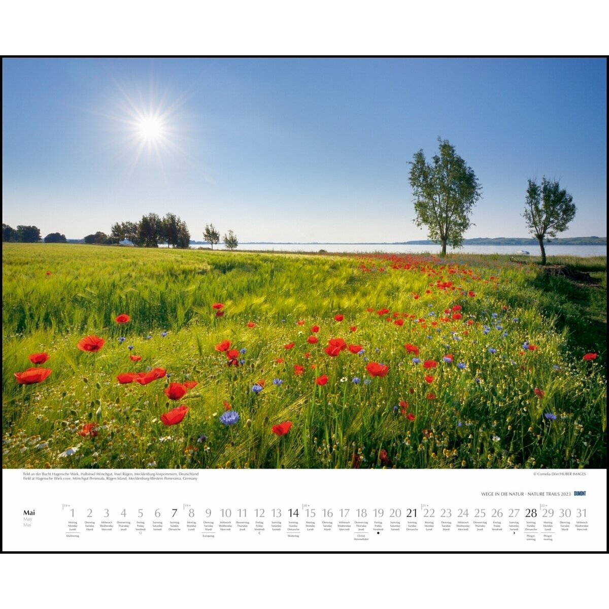 Maxi Calendrier 2023 Promenade dans la nature
