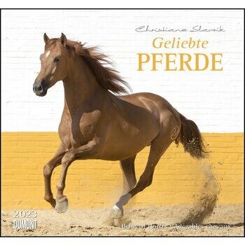 Calendrier Cheval 2023 Calendriers 2023 Chevaux