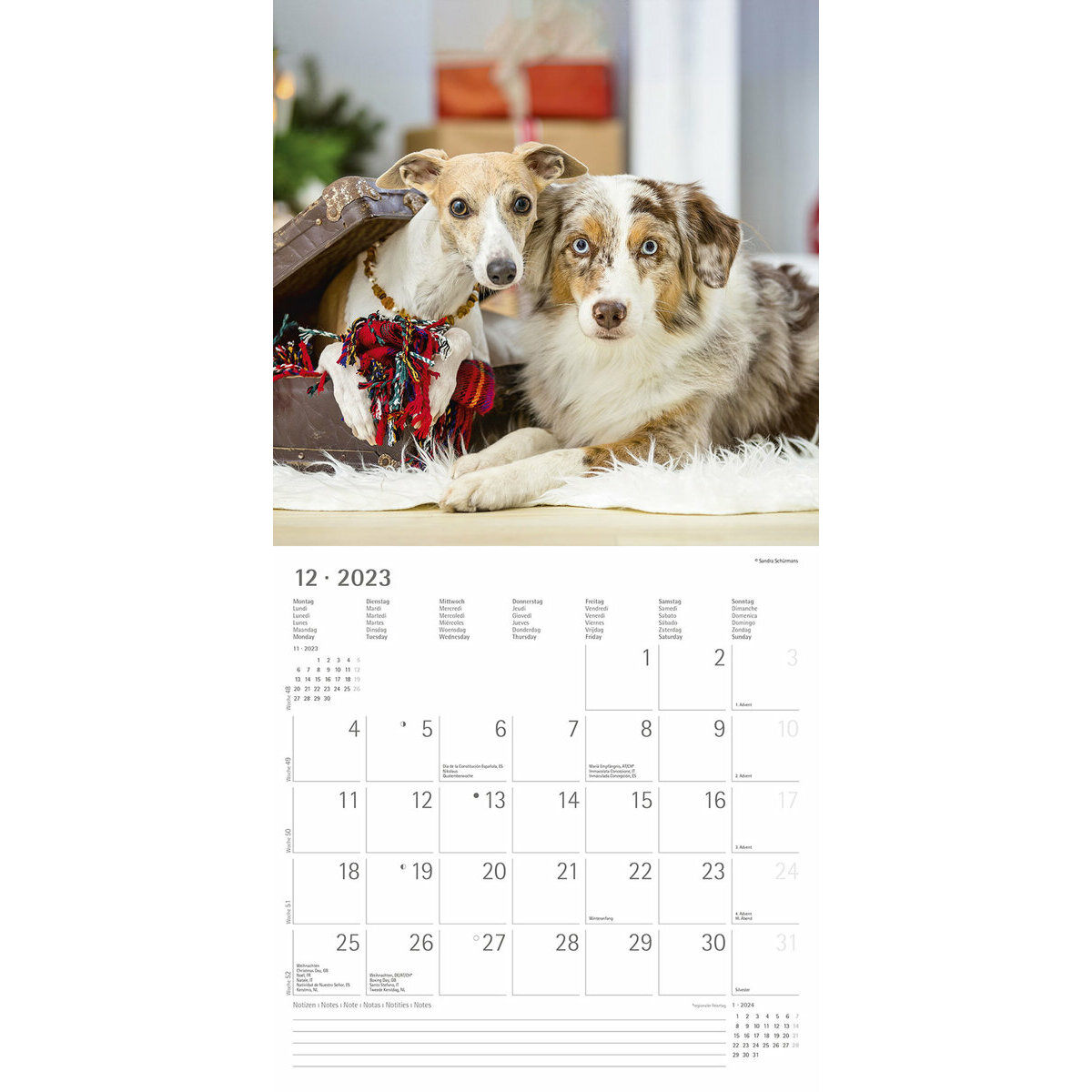 Calendrier 2023 Chien de race