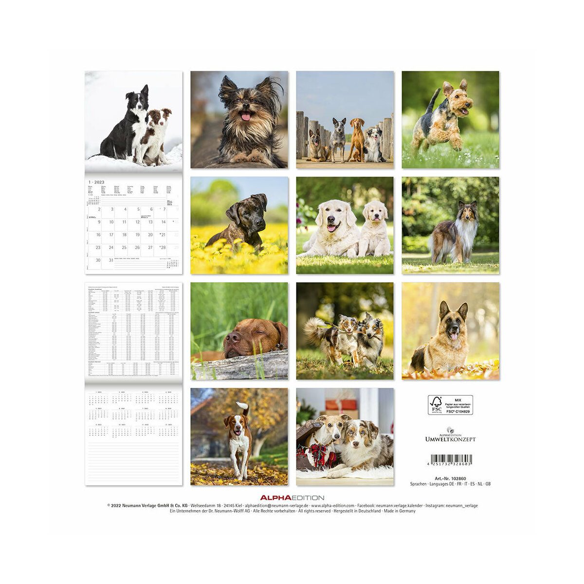 Calendrier 2023 Chien de race