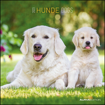 Calendrier 2023 Chien de race