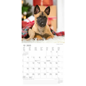 Calendrier 2023 Chien Berger