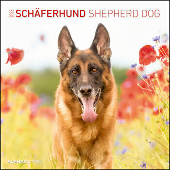 Calendrier 2023 Chien Berger