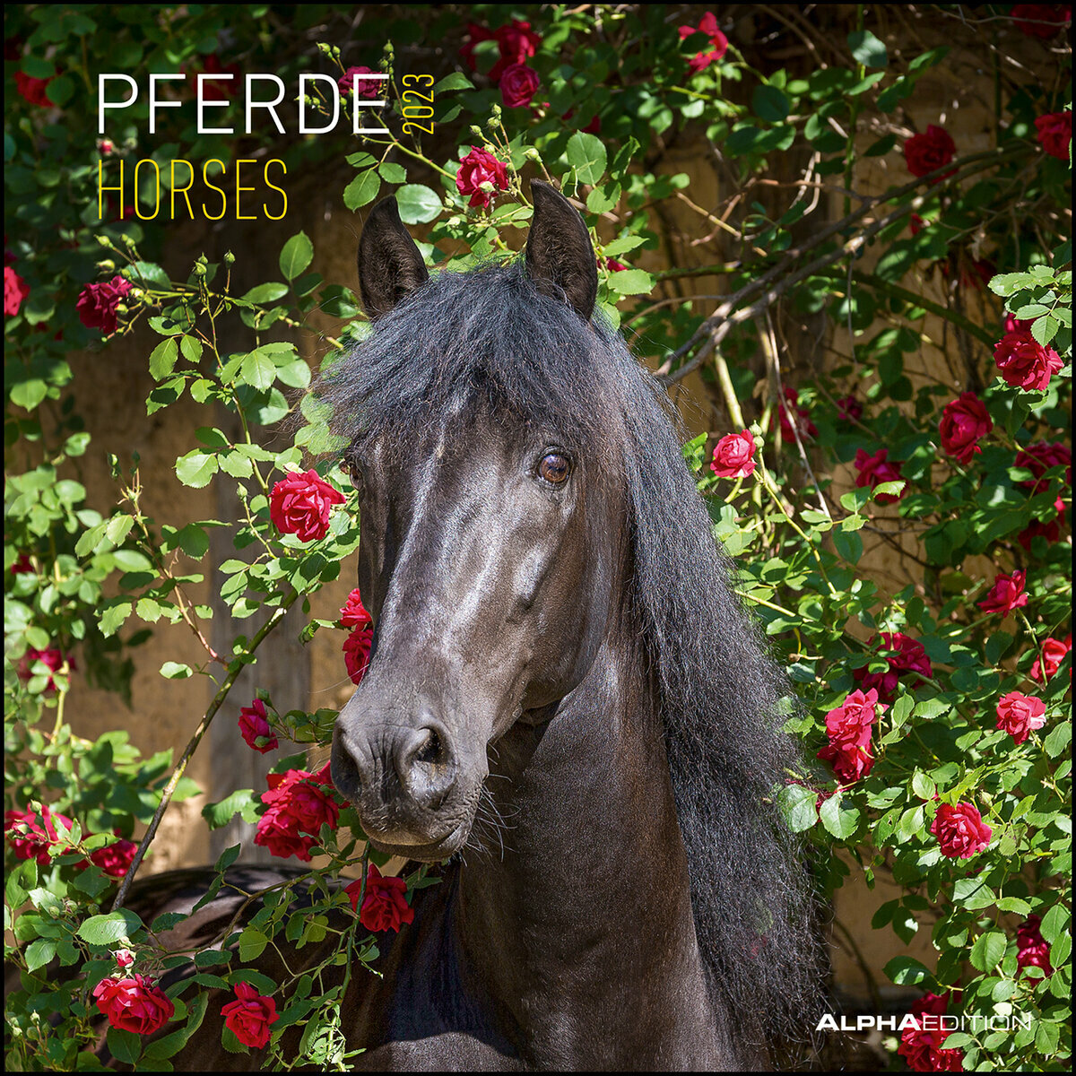 Calendrier 2023 Chevaux