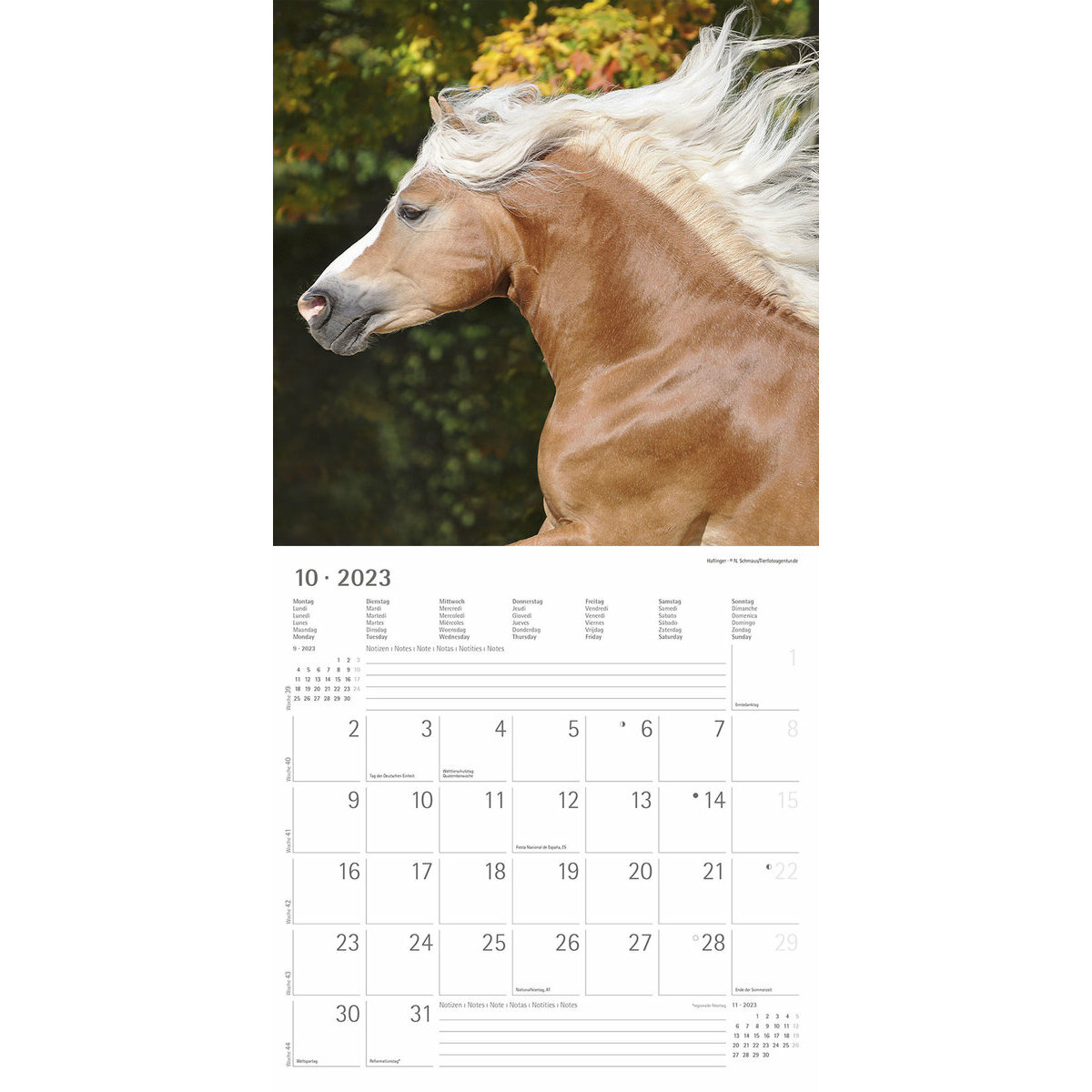 Agenda Les Poneys De Zoé 2022 2023