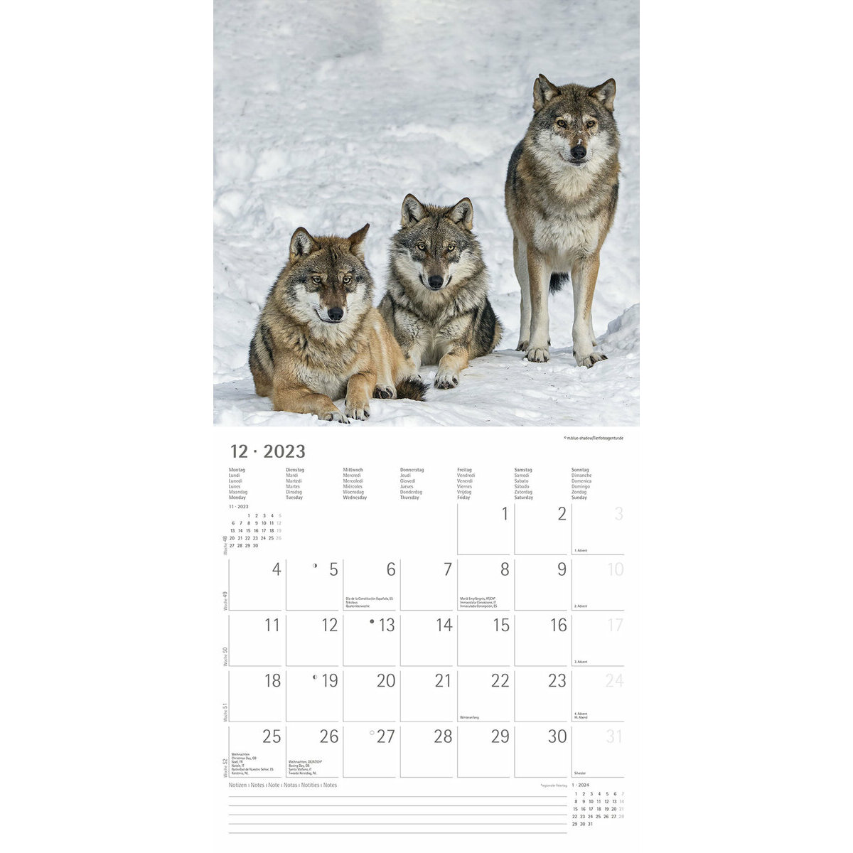Calendrier 2023 Loup