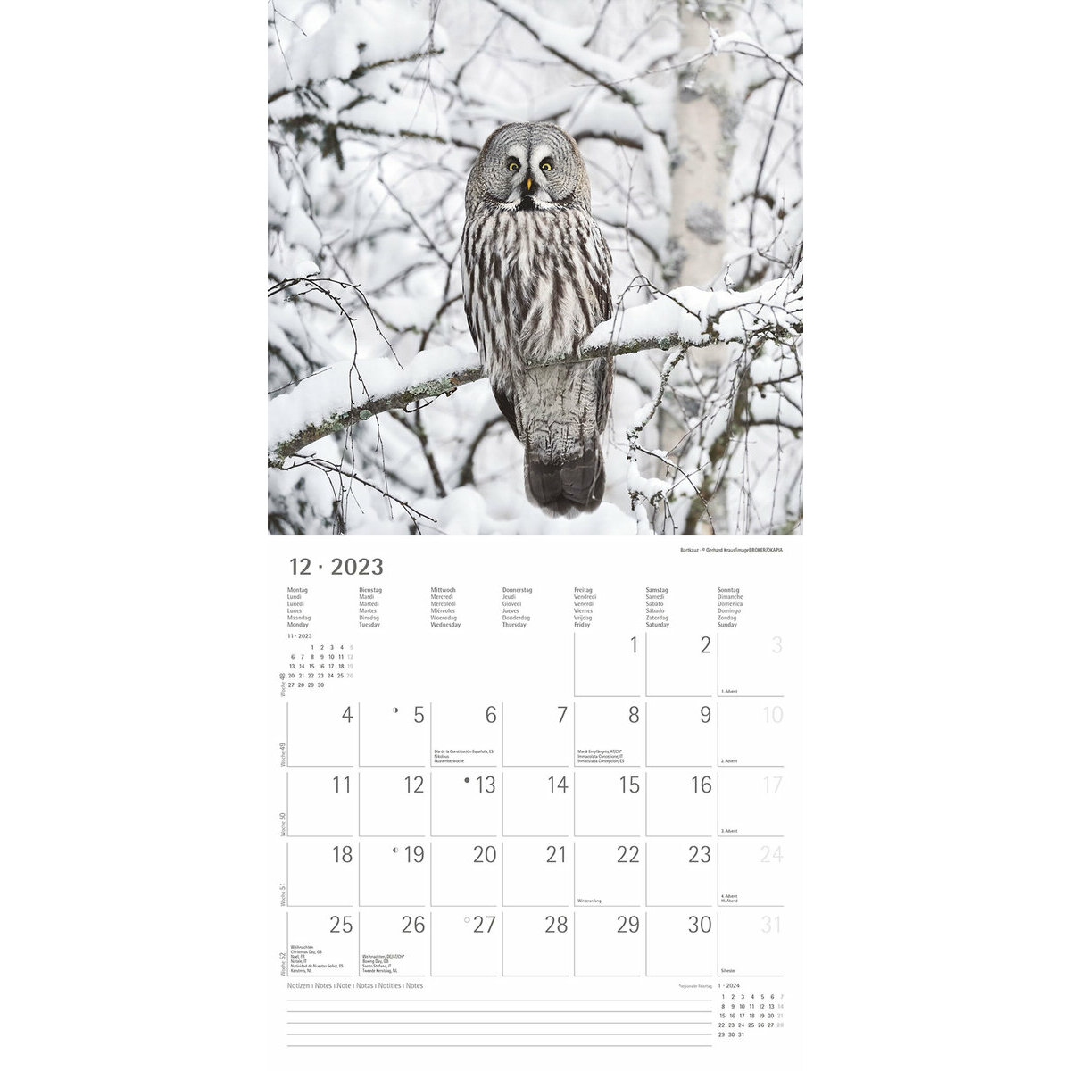 Calendrier 2023 Avec Motif Chouettes Et Uhus Format A2 Ouvert