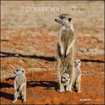 Calendrier 2023 Suricate