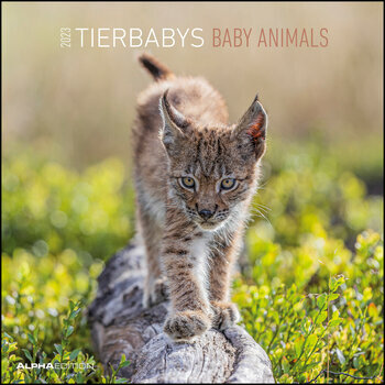 Calendrier 2023 Bébé animaux