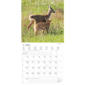 Calendrier 2023 Animaux amis