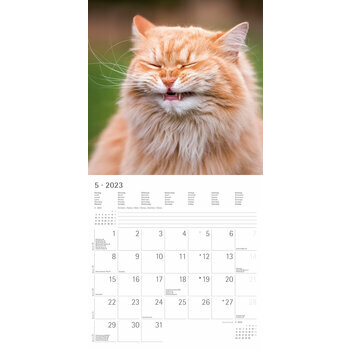Calendrier 2023 Chats funny Calendrier 2023 Chats funny