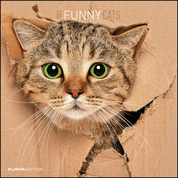 Calendrier 2023 Chats funny Calendrier 2023 Chats funny