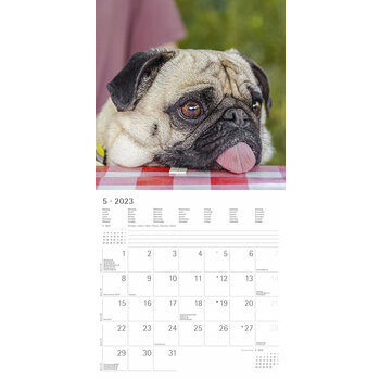 Calendrier 2023 Chien fun Calendrier 2023 Chien fun