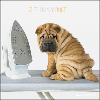 Calendrier 2023 Chien fun Calendrier 2023 Chien fun