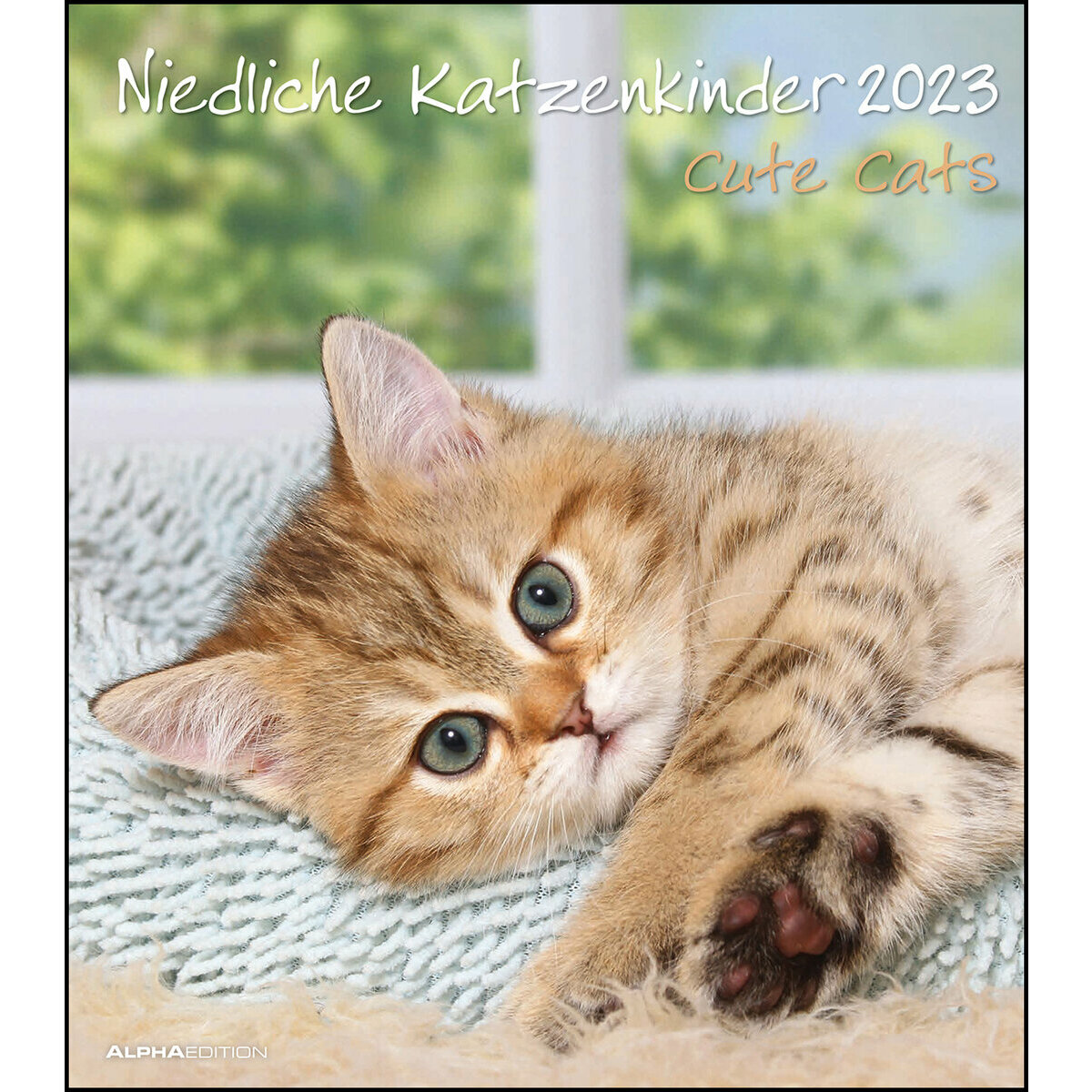 Calendrier mural 2023 Chaton
