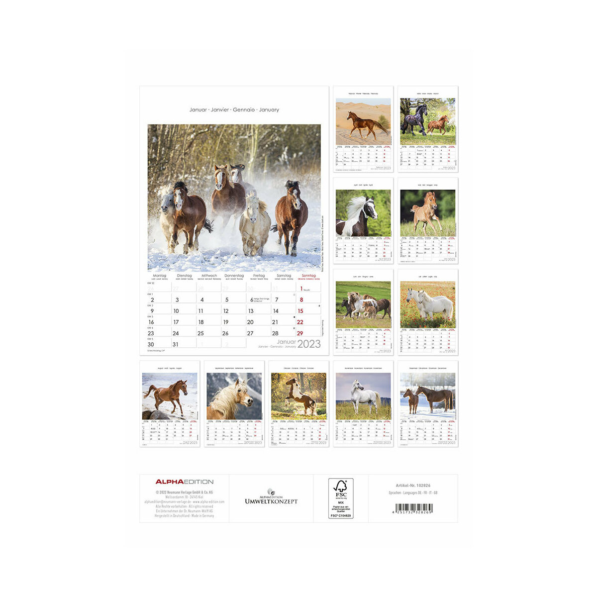 Maxi Calendrier 2023 Chevaux