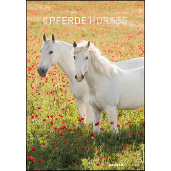 Maxi Calendrier 2023 Chevaux 