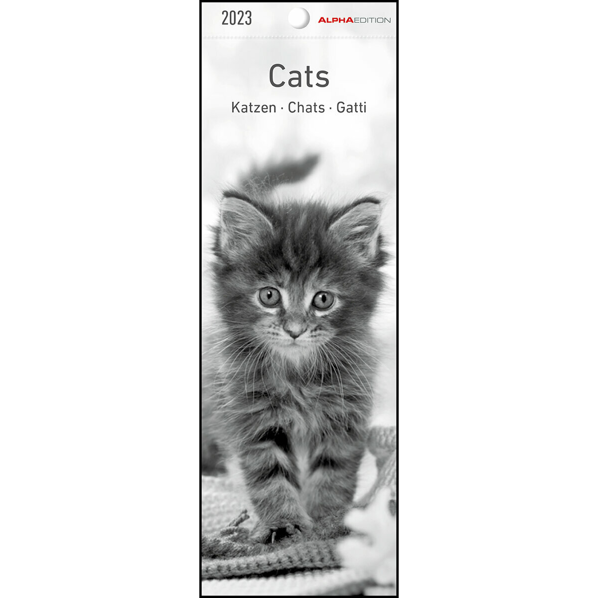 Calendrier chaton 2023
