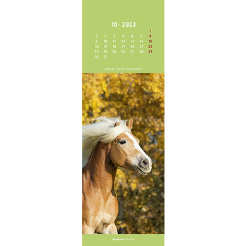 Calendrier marque page chevaux 2023