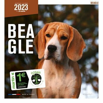 Calendrier 2023 Beagle