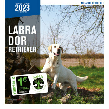 Calendrier 2023 Labrador
