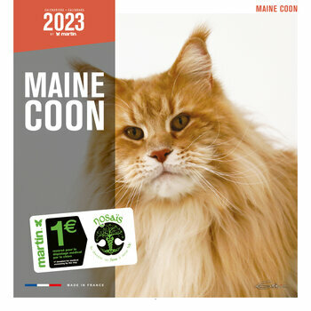 Calendrier 2023 Maine coon