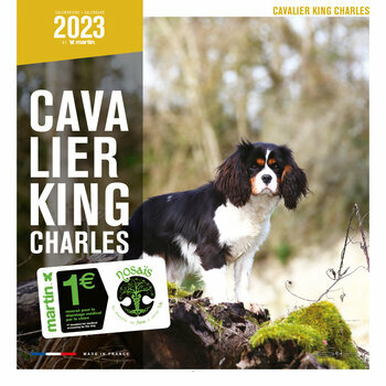 Calendrier 2023 Cavalier king charles