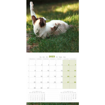 Calendrier 2023 Chat Calendrier 2023 Chat