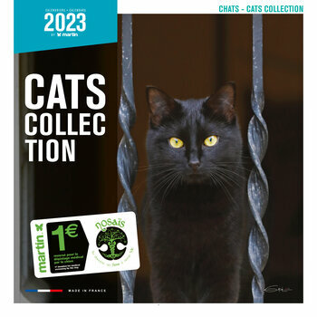 Calendrier 2023 Chat Calendrier 2023 Chat