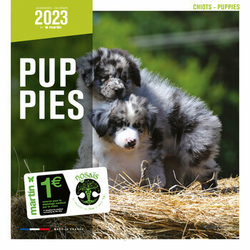 Calendrier 2023 Chiot Calendrier 2023 Chiot