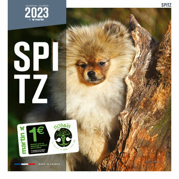 Calendrier 2023 Spitz nain