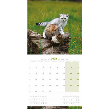 Calendrier 2023 Chatons Calendrier 2023 Chatons