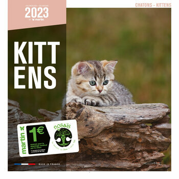 Calendrier 2023 Chatons Calendrier 2023 Chatons