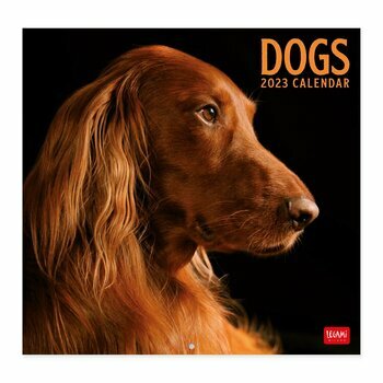 Calendrier 2023 Chien de race Calendrier 2023 Chien de race