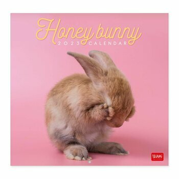Calendrier 2023 Lapin Calendrier 2023 Lapin