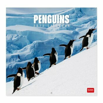 Calendrier 2023 Pingouin