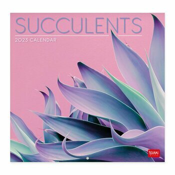 Calendrier 2023 Plante succulente Calendrier 2023 Plante succulente