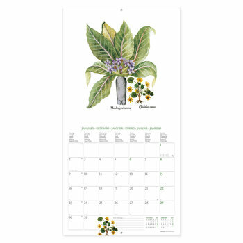 Calendrier 2023 Herbier retro Calendrier 2023 Herbier retro