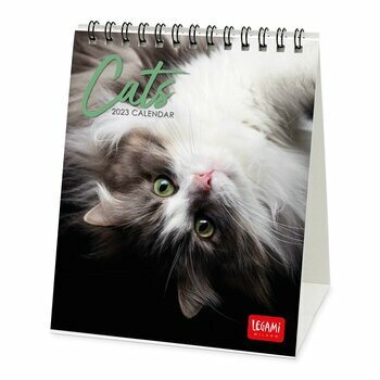 CALENDRIER CHEVALET CHAT 2023